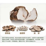 夏季养生必不可少的食物 让你清心解暑度夏